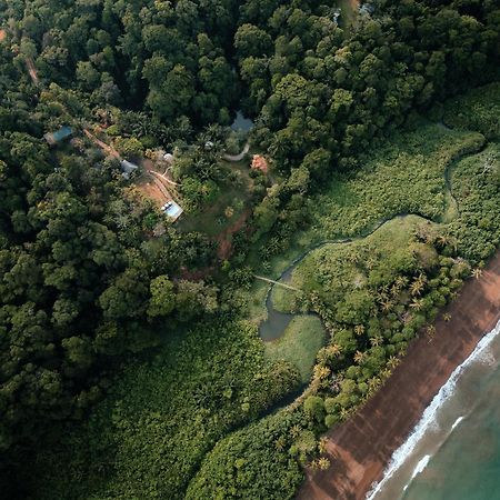 Natural Drake Bay Hotel Boutique 외부 사진