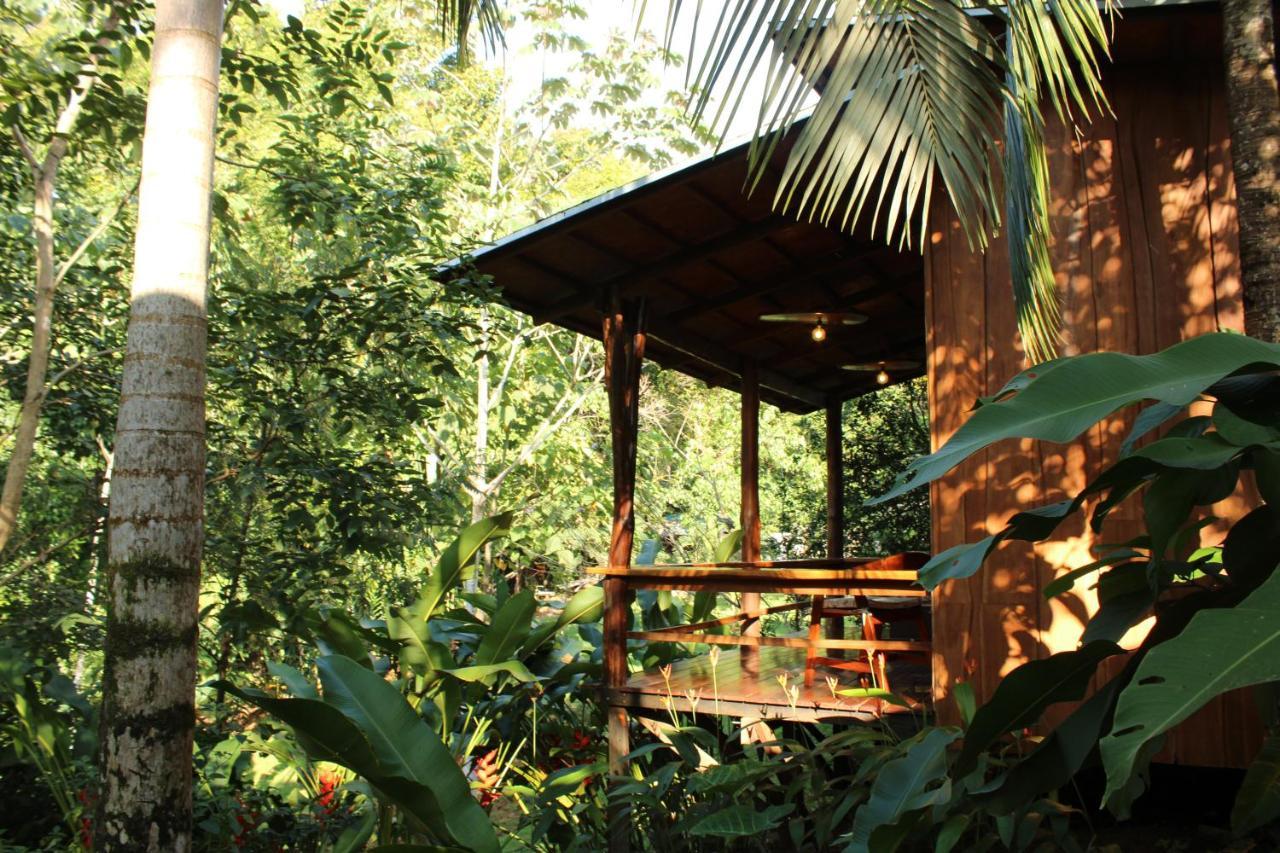 Natural Drake Bay Hotel Boutique 외부 사진